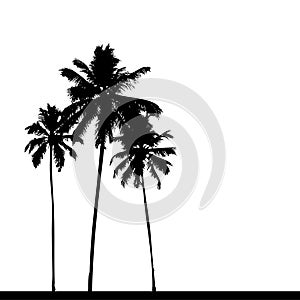 Palm tree silhouette black