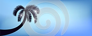 Palm tree silhouette on blue sky background for summer holiday design