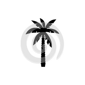 Palm tree silhouette icon vector