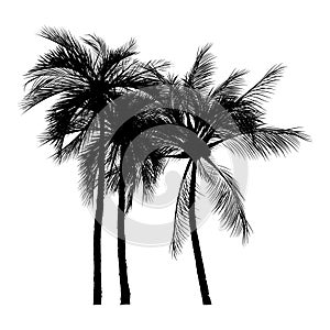 palm tree silhouette icons on white background
