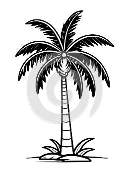 palm tree silhouette isolated icon