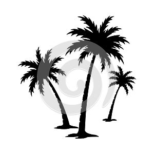 PALM TREE SILHOUETTE SET