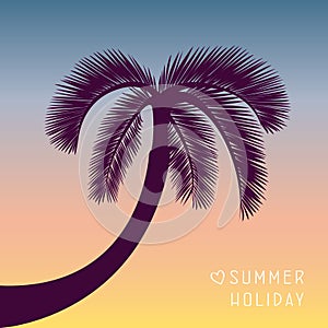 Palm tree silhouette sunrise sky background for summer holiday design