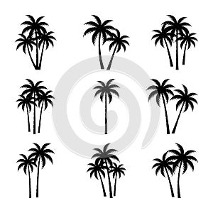 PALM TREE SILHOUETTE VECTOR SET