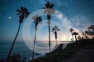 Palm tree silhouettes under starry sky