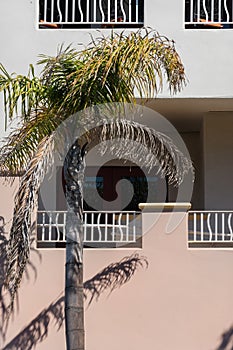 Palm Tree, Southwestern architecture