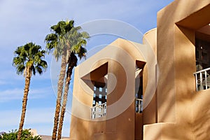 Palm tree and Southwestern architecture