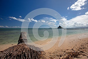 Palm tree stump in front of Mokolii island also known as Chinamans Hat as seen from Kualoa Regional Park on the North Shore of