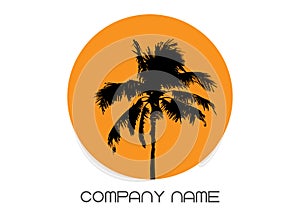 Palm tree summer logo template. Tropical palm tree, black silhouette and outline contours, company name, vector isolated