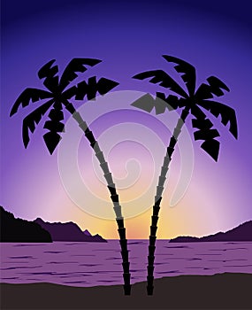 Palm tree at sunrise (sunset)