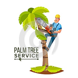 Palm Tree Service Vector. Professional Man. Trimming Tree Or Removal To Tree Pruning. Isolated Flat Cartoon Character