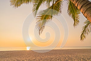 Palm tree at tropical beach on sunset sky abstract background. Summer vacation and nature travel adventure concept