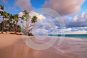 Palm trees on tropical islandbeach at sunset or sunrise with dramatic clouds and tropical Caribbean sea