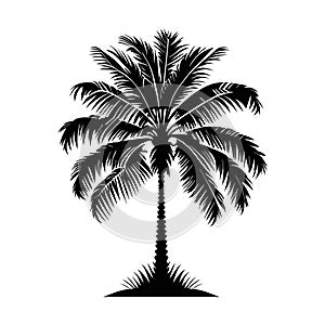 Palm tree tropical vector
