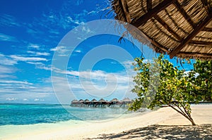 Palm tree umbrella on an exotic beach on the background of houses on the water