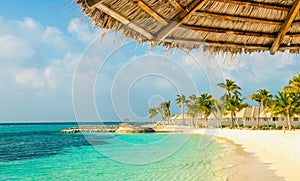 Palm tree umbrella and namazing Maldivian sandy beach, Maldives