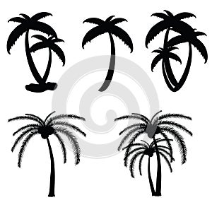 Palm tree vector in black color