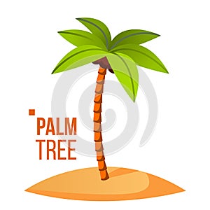 Palm Tree Vector. Green Leaf. Tropical Sand Beach. Isolated Flat Cartoon Illustration