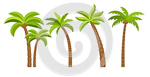 Palm tree vector island coconut cartoon icon. Palmtree island desert isolated tropical icon photo