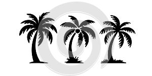Palm Tree Vector Set â Tropical Black Tree Silhouettes