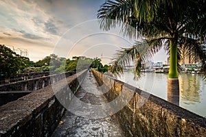 Palm tree and walls along the Pasig River, at Fort Santiago, Int