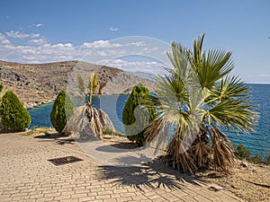 Palm tree, waves beautiful sea view orthodox church. Natural living. Pelion peninsula. Pagasetic gulf. Platanias village. Greece.