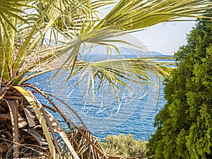 Palm tree, waves beautiful sea view orthodox church. Natural living. Pelion peninsula. Pagasetic gulf. Platanias village. Greece.