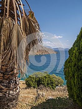 Palm tree, waves beautiful sea view orthodox church. Natural living. Pelion peninsula. Pagasetic gulf. Platanias village. Greece.
