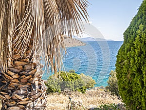 Palm tree, waves beautiful sea view orthodox church. Natural living. Pelion peninsula. Pagasetic gulf. Platanias village. Greece.