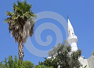 Palm Tree and White Painted Mosque with Blue Sky in Kalkan, Turkey photo
