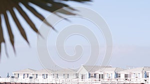 Palm tree and wooden Crystal pier with cottages, California ocean beach, USA.