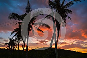 Silhouette of palm trees against a beautiful sunset over Cebu, Philippines