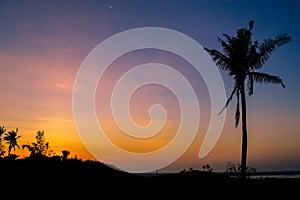 Silhouette of palm trees against a beautiful sunset over Cebu, Philippines