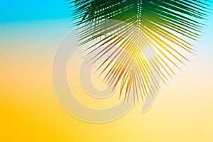 Palm trees against blue sky, Palm trees at tropical coast, vintage blue yellow toned and stylized, coconut tree,summer tree, retro