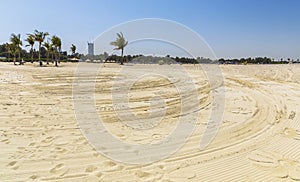 Palm trees on Al Mamzar beach in Dubai