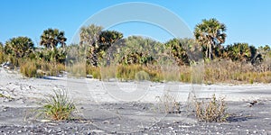 Little Talbot Island, Florida photo