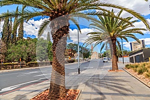 Palm trees along the road and Luteran Christ Church in the end,