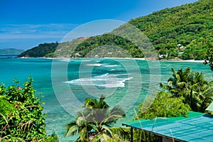 Palm trees along the shoreline, tropical island scenario