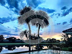 sunset in a tropical back yard