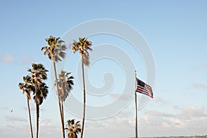 Palm Trees with American Flag