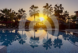 Palm trees around swimming pool in a beach hotel at sunset