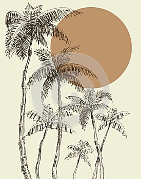 Palm trees background