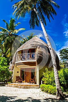 Palm trees and beach bungalow, Bandos Island, Maldives