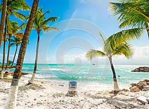 Palm trees and beach chair in Guadeloupe