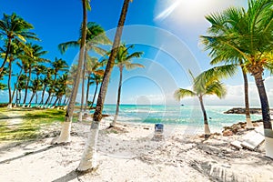 Palm trees and beach chair in Guadeloupe