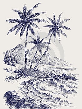 Palm trees on the beach hand drawing