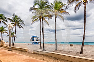 Palm trees on the beach of Hollywood, Florida.