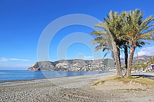 Palm trees on the beach at La Herradura photo