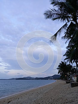 Palm trees on the beach at lavendel colors dusk, Koh Samui, Thailand