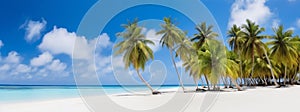 Palm Trees on the Beach in the Maldives Tropical Island Banner. Generative ai